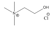 Ionic liquid 99%+2-hydroxy-N,N,N-trimethyl ethylanammonium chloride/HOEtN1,1,1Cl CAS#67-48-1 | Jenny Chem
